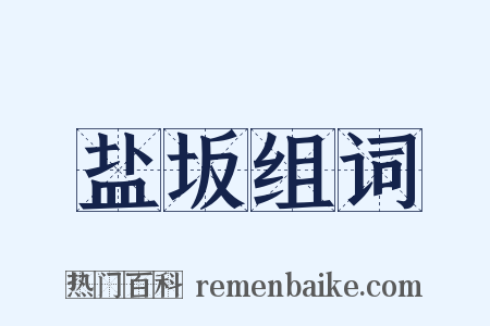 盐坂组词是什么意思的图片